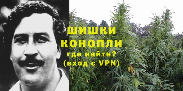 PSILOCYBIN Аркадак