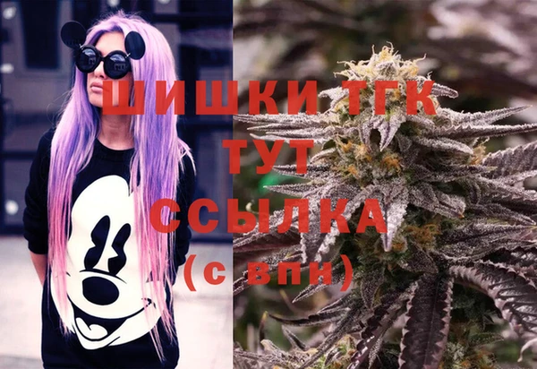 PSILOCYBIN Аркадак