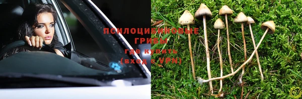 PSILOCYBIN Аркадак