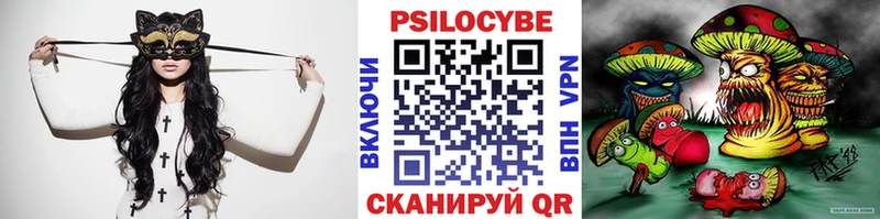 магазин    Зеленоградск  Галлюциногенные грибы Psilocybine cubensis 