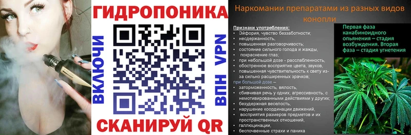 ОМГ ОМГ зеркало Зеленоградск Бошки марихуана марихуана хочу